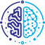 AI Feedback